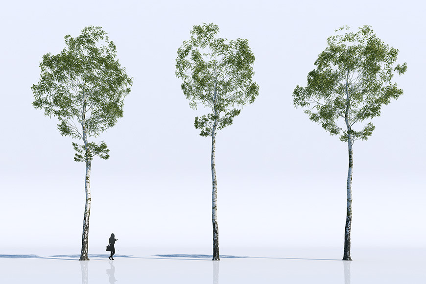 3d-models-trees-gallery-3.jpg