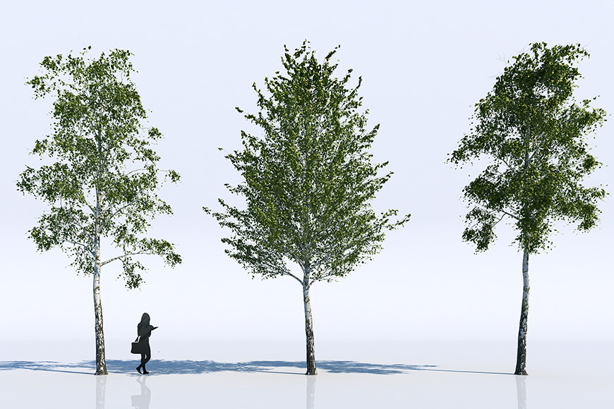 3d-models-trees-gallery-6.jpg