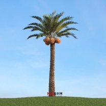 棕榈树组合单体3D模型-编号3321