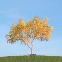 树木组合单体3D模型-编号3310