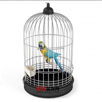 鸟类，鸟组合单体3D模型-编号2869
