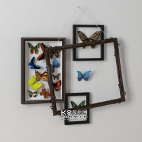 现代风格墙面蝴蝶装饰品单体模型--编号16464
